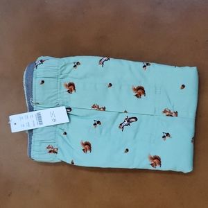 J. Crew 100% Cotton Woven Boxers Squirrel Print